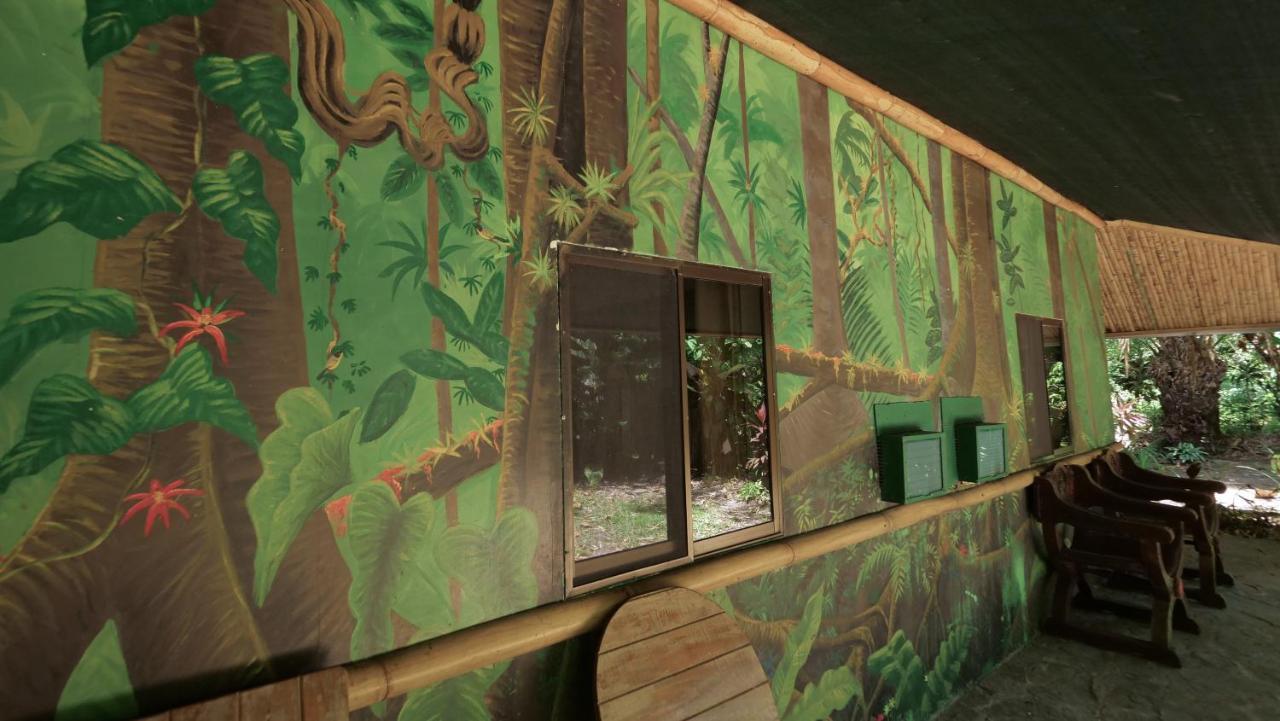 Casa Manglar Villa Puerto Jiménez Exteriör bild