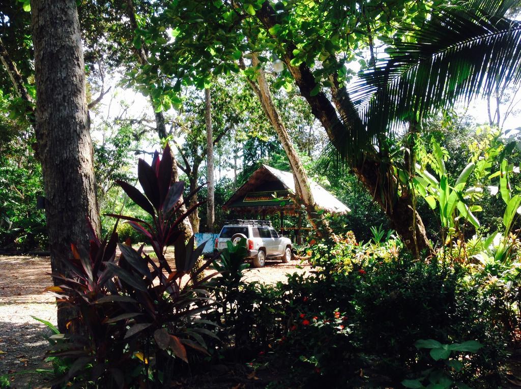 Casa Manglar Villa Puerto Jiménez Exteriör bild