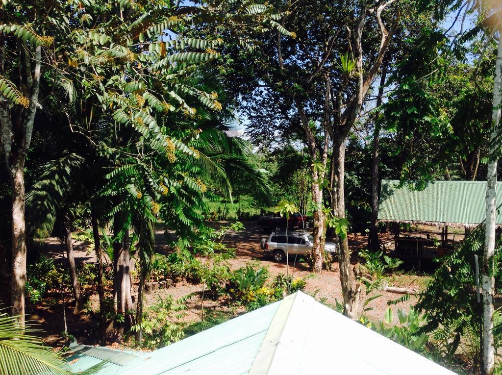 Casa Manglar Villa Puerto Jiménez Exteriör bild